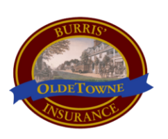 Olde towne Ins Logo